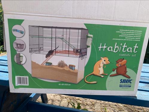 Kooi voor hamsters en gerbils, Dieren en Toebehoren, Knaagdieren en Konijnen | Hokken en Kooien, Zo goed als nieuw, Kooi, Ophalen
