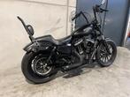 Harley-Davidson Sportster Iron 883 vol coole opties, Motoren, Motoren | Harley-Davidson, Chopper, Bedrijf, 883 cc, Meer dan 35 kW