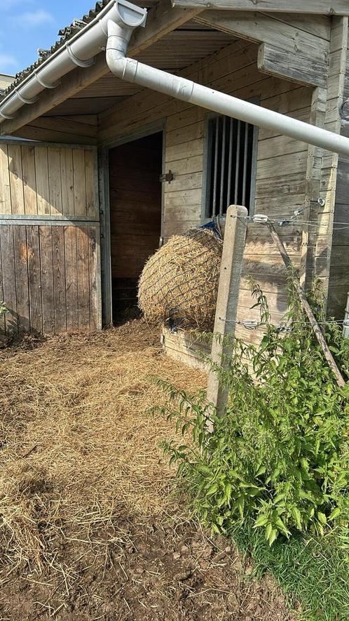 2plekjes beschikbaar op de wei, Dieren en Toebehoren, Paarden en Pony's | Overige Paardenspullen, Ophalen of Verzenden