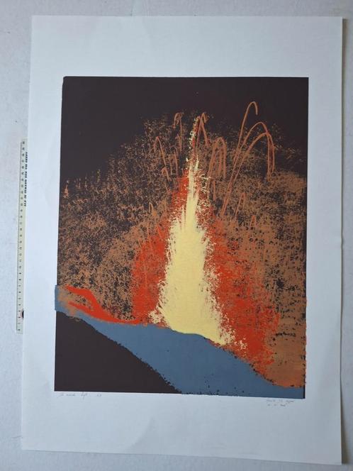 Fraaie zeefdruk Anneke De Keyser "De aarde leeft" uit 2006, Antiek en Kunst, Kunst | Litho's en Zeefdrukken, Ophalen of Verzenden