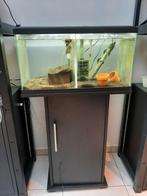 Kweekaquarium (bedoeld voor garnalen), Dieren en Toebehoren, Ophalen, Zo goed als nieuw