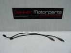 Set Lambda Sondes / Lambda sonde Ducati Panigale V2 2020 >, Ophalen of Verzenden, Gebruikt