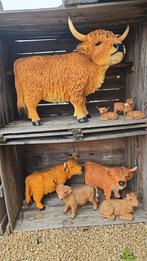 Hooglanders,  allerlei modellen, Ophalen of Verzenden, Nieuw, Kunststof, Dierenbeeld