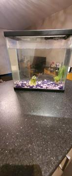 Aquarium, Dieren en Toebehoren, Ophalen