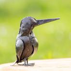 Beaux oiseaux, Enlèvement ou Envoi