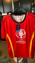 Voetbaltruien UEFAeuro 2016, Ophalen of Verzenden, Zo goed als nieuw