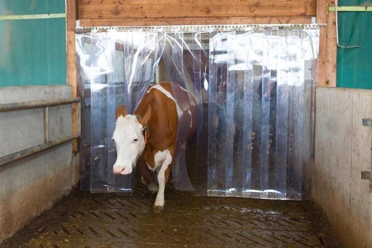 Rideau à Lanières en PVC 30cm, Animaux & Accessoires, Autres accessoires pour animaux, Neuf, Enlèvement