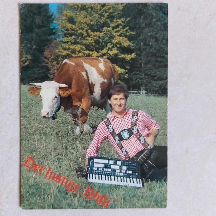 Fotokaart : Der lustige Willi - Tirol, Ophalen of Verzenden, Zo goed als nieuw