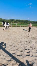 Zadelmak maken, Dieren en Toebehoren, Paarden, Zadelmak