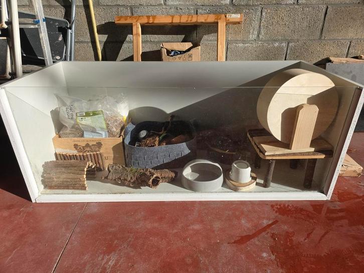 Terrarium rongeurs hamster, Animaux & Accessoires, Rongeurs & Lapins | Cages & Clapiers, Comme neuf, Cage, Moins de 60 cm, 110 cm ou plus