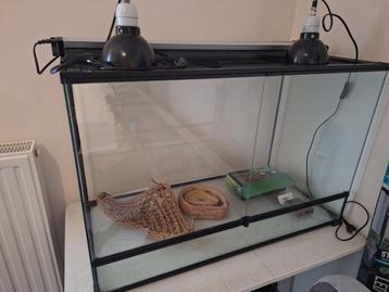 Terrarium Type Pogona, Enlèvement, Comme neuf