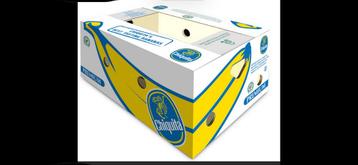 20 dozen, Doe-het-zelf en Bouw, Kratten en Dozen, Ophalen, Zo goed als nieuw