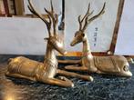 1 paire de cerf en bronze doré, Antiquités & Art, Bronze, Enlèvement ou Envoi