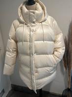 Puma jas, Enlèvement ou Envoi, Comme neuf