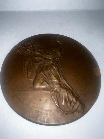 Koloniale Medaille beschikbaar voor biedingen