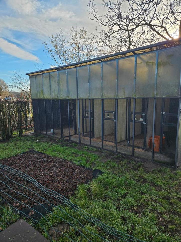 Aluminium volière 6m x 2,7m, Dieren en Toebehoren, Vogels | Hokken en Kooien, Volière, Aluminium, Ophalen