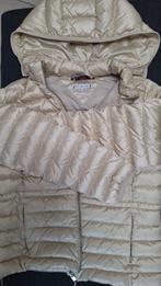 Tommy Hilfiger, maat M. Dames. model 2024, Kleding | Dames, Jassen | Winter, Ophalen of Verzenden, Zo goed als nieuw
