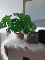 Kunstplant Monstera, Huis en Inrichting, Woonaccessoires | Kunstplanten en Kunstbloemen, Ophalen of Verzenden, Zo goed als nieuw