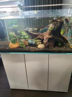 Aquarium kompleet