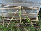Gratis bamboe! Opleiden planten en bomen, Tuin en Terras, Ophalen, Bamboe