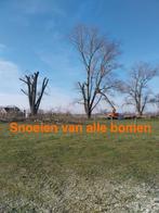 Snoeien en rooien van bomen, Ophalen of Verzenden, Overige soorten