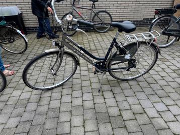 Vélo Oxford pour femme