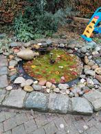 Vijver en toebehoren, Ophalen, Fontein