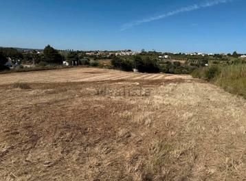 Sublime land in Portugal not far from the beaches beschikbaar voor biedingen