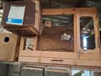 Houten kweekkooi