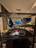 DOUBLE FERRET NATION, Dieren en Toebehoren, Knaagdieren en Konijnen | Toebehoren, Ophalen, Nieuw, Overige typen