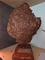 Réplique 1:1 de Stegosaurus Plate, Envoi