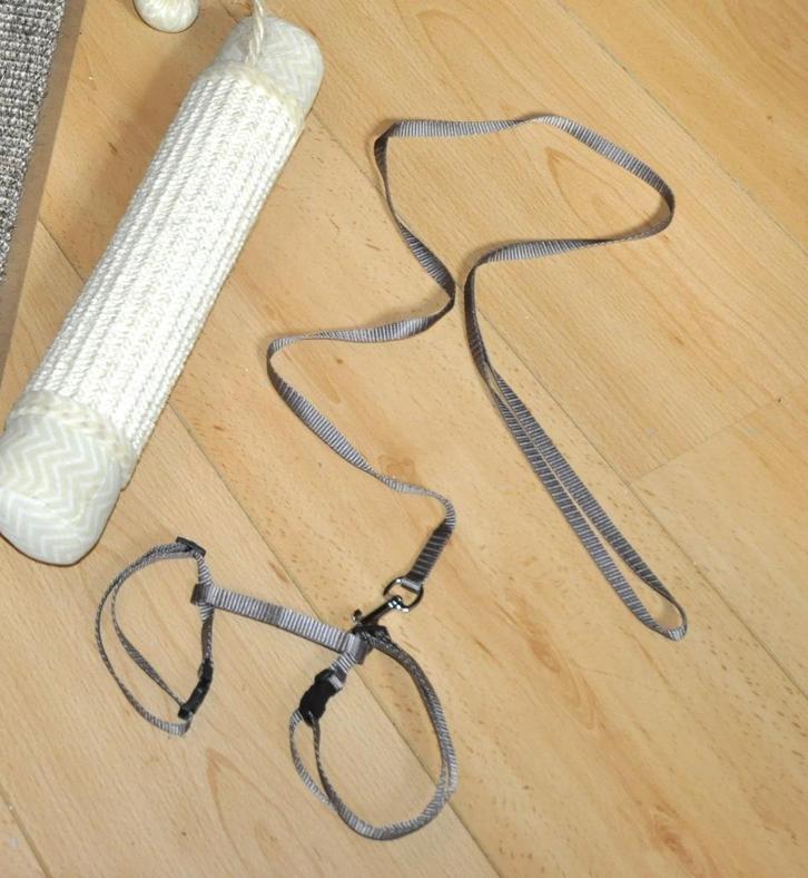 Harnais et laisse pour chat ou chiot neufs jamais utilisés, Dieren en Toebehoren, Kattenhalsbanden en Penningen, Nieuw, Ophalen of Verzenden