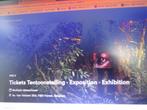 2 e-tickets Wiels expo, Tickets en Kaartjes, Musea, Twee personen, Ticket of Toegangskaart