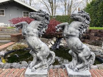 Nieuw : Steigerend Paard 84cm hoog beschikbaar voor biedingen