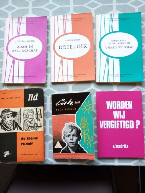 SCHOOLLEESBOEKEN, Boeken, Overige Boeken, Ophalen of Verzenden