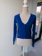 Nieuw blauw cardigan van Jbc, medium, Kleding | Dames, Truien en Vesten, Nieuw, Blauw, Maat 38/40 (M), Ophalen of Verzenden