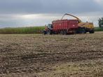 Maisbalen, Zakelijke goederen, Landbouw | Veevoer, Ophalen of Verzenden