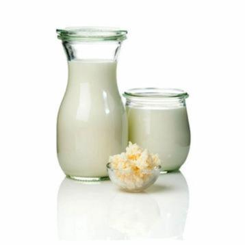 Lait Champagne Lait Kéfir Grains de kéfir fleurs probiotique, Divers, Enlèvement