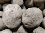te koop: grote, verse frietaardappelen., Ophalen