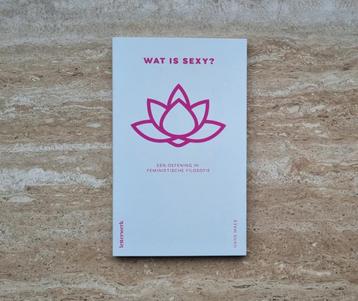 Wat is sexy? Oefening in feministische filosofie, Hans Maes beschikbaar voor biedingen