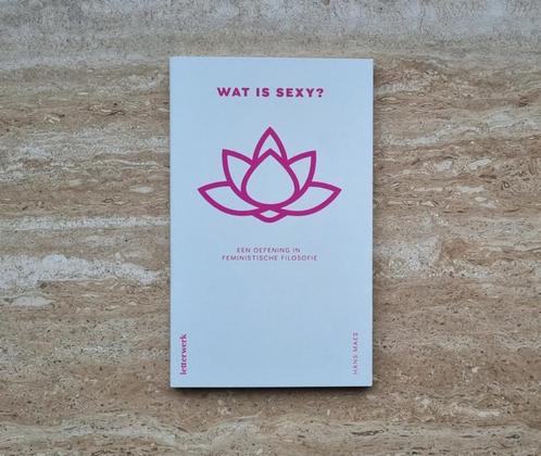 Wat is sexy? Oefening in feministische filosofie, Hans Maes, Boeken, Filosofie, Nieuw, Verzenden