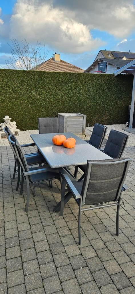 Tuintafel + 6 stoelen met kussen, Tuin en Terras, Tuinsets en Loungesets, Aluminium, Ophalen