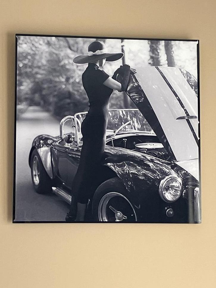 Radoslaw Pujan * Cobra (YK Gallery), Boeken, Kunst en Cultuur | Fotografie en Design, Ophalen of Verzenden