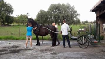 charette 2 roues et charette 4 roues à vendre beschikbaar voor biedingen