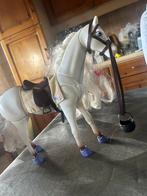 Amika paard, Enlèvement ou Envoi, Cheval