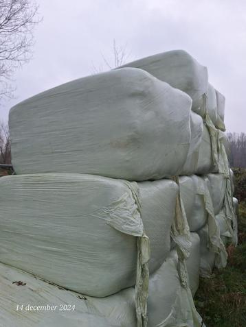 ideaal hooi voor paarden ingepakt beschikbaar voor biedingen
