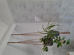 Macrame hangers met pot en hangplanten, Ophalen