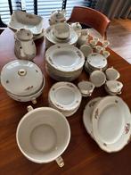 Prachtig vintage porseleinen servies – Haas & Czjzek, Antiek en Kunst, Antiek | Servies compleet, Ophalen