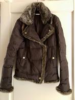 Donsjas Hilfiger - maat XS, Kleding | Dames, Jassen | Winter, Tommy hilfiger, Bruin, Ophalen of Verzenden, Zo goed als nieuw