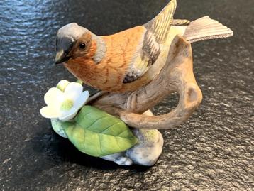 Menthe de Franklin Porcelaine Figurine - Oiseaux Chaf finch  beschikbaar voor biedingen